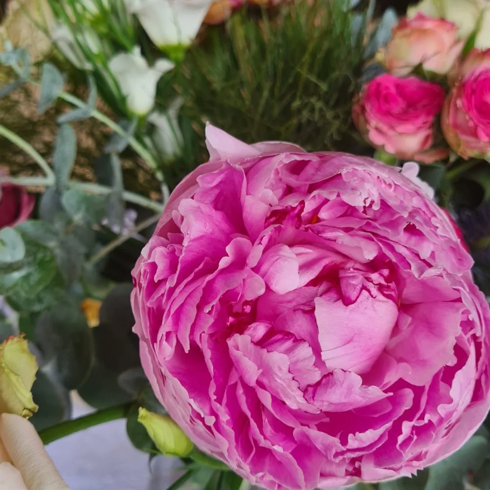 Bouquet de Pivoines, par Epoustoufleurs, fleuriste à Saint Paul