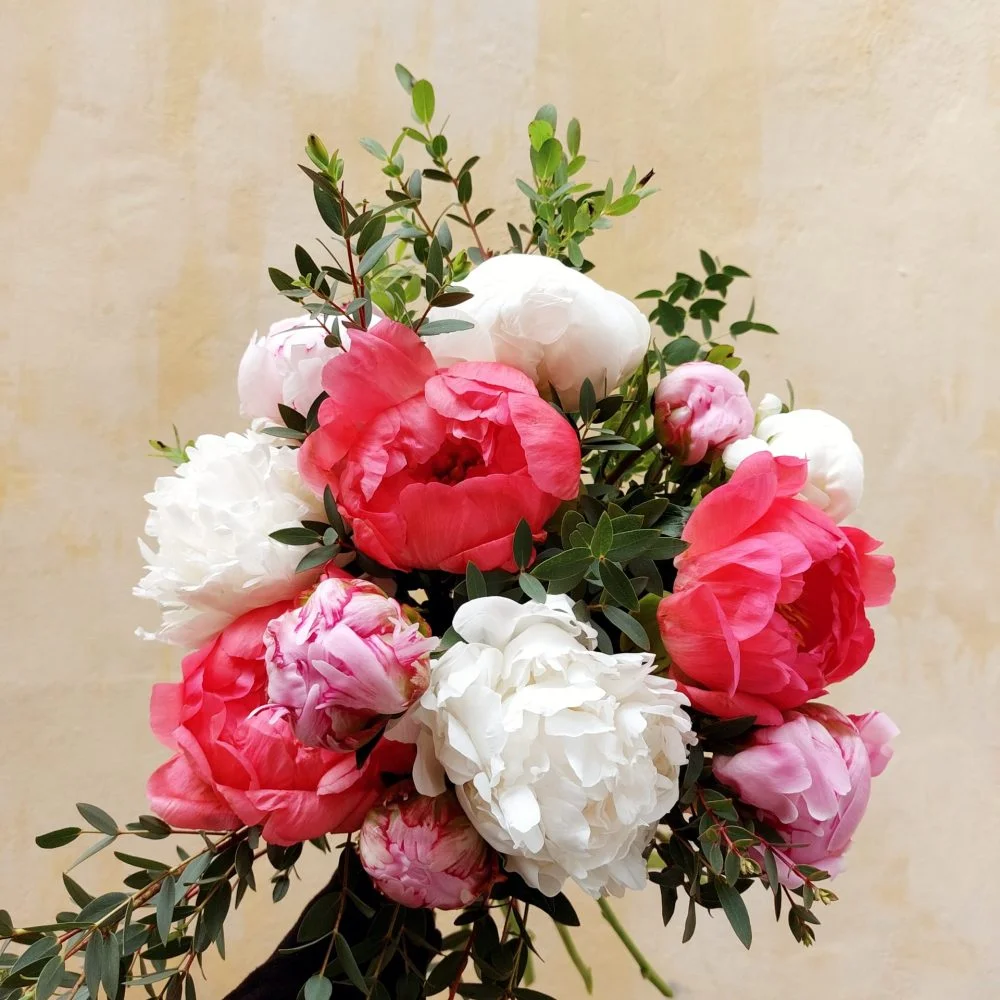 Bouquet de Pivoines, par Green Lab, fleuriste à Aix-en-Provence
