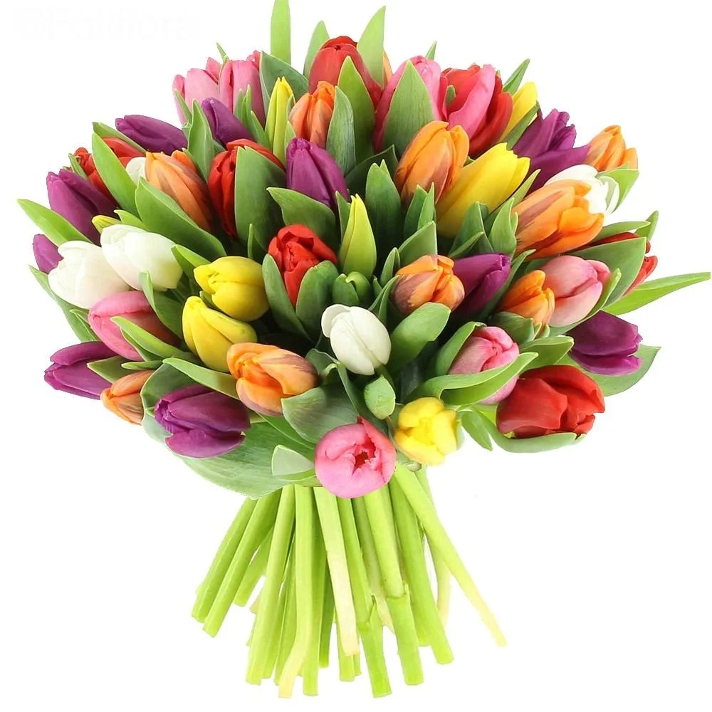 Bouquet de Tulipes, par Aux Colonnes Fleuries, fleuriste à Ajaccio