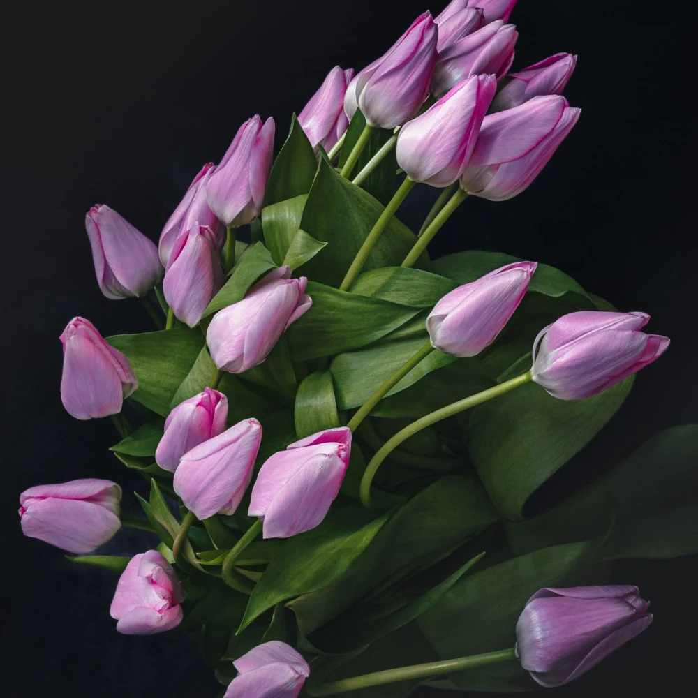 Bouquet de Tulipes, par Nicolas Antoine, fleuriste à Montrouge