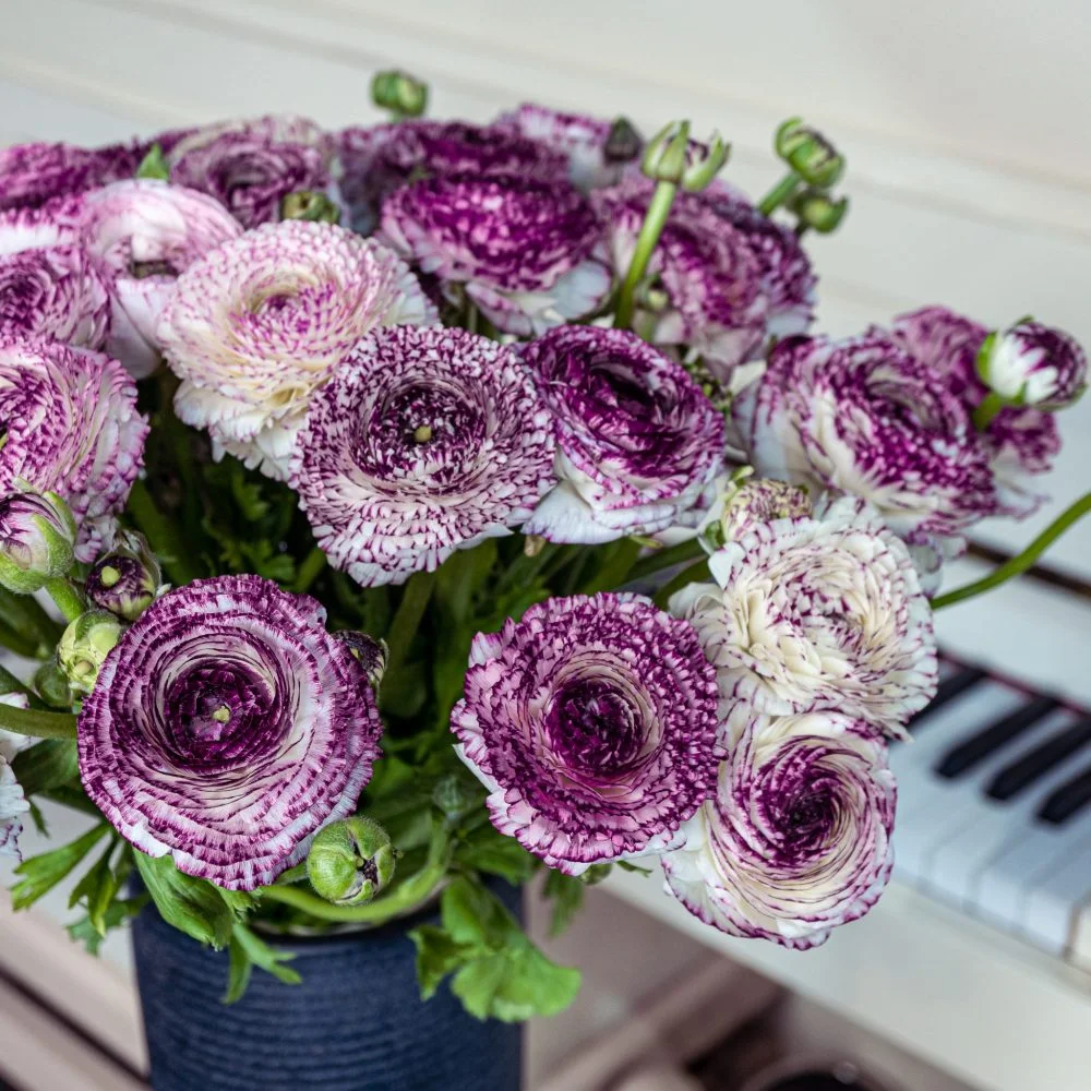 Bouquet de Renoncules, par Nicolas Antoine, fleuriste à Montrouge