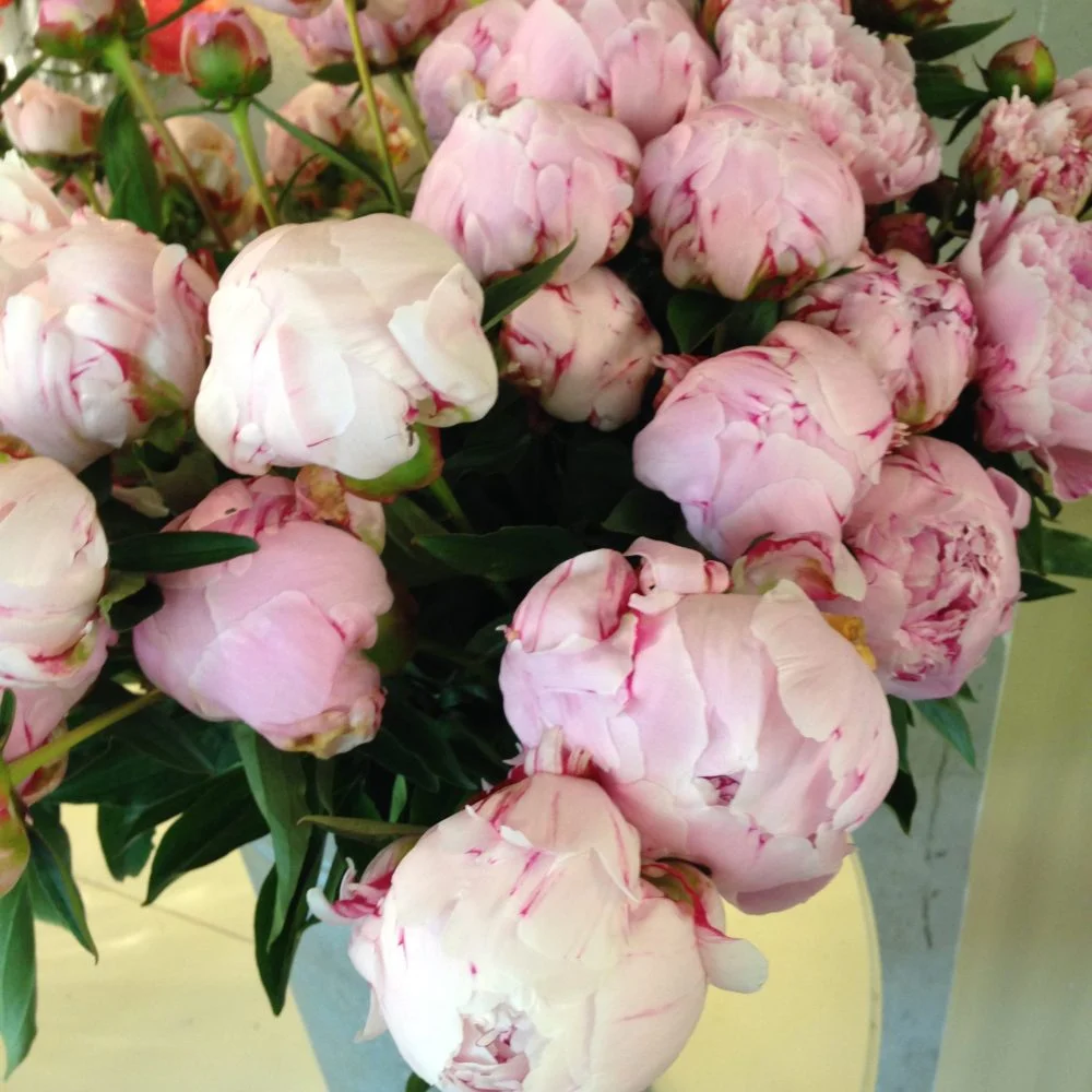 Bouquet de Pivoines, par La fleuriste, fleuriste à Bordeaux