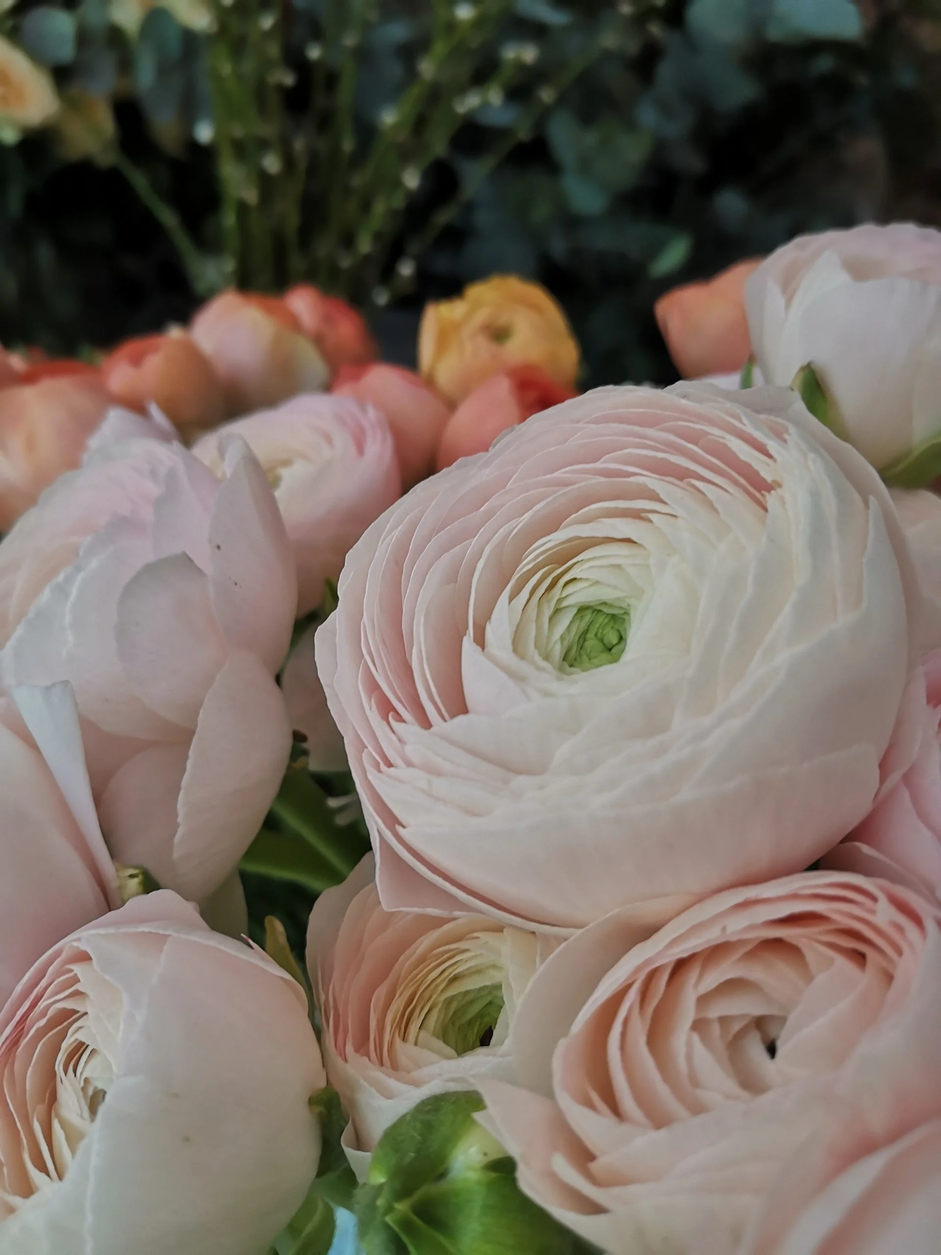 Bouquet de Renoncules, par O'kiosque Lyon, fleuriste à Lyon