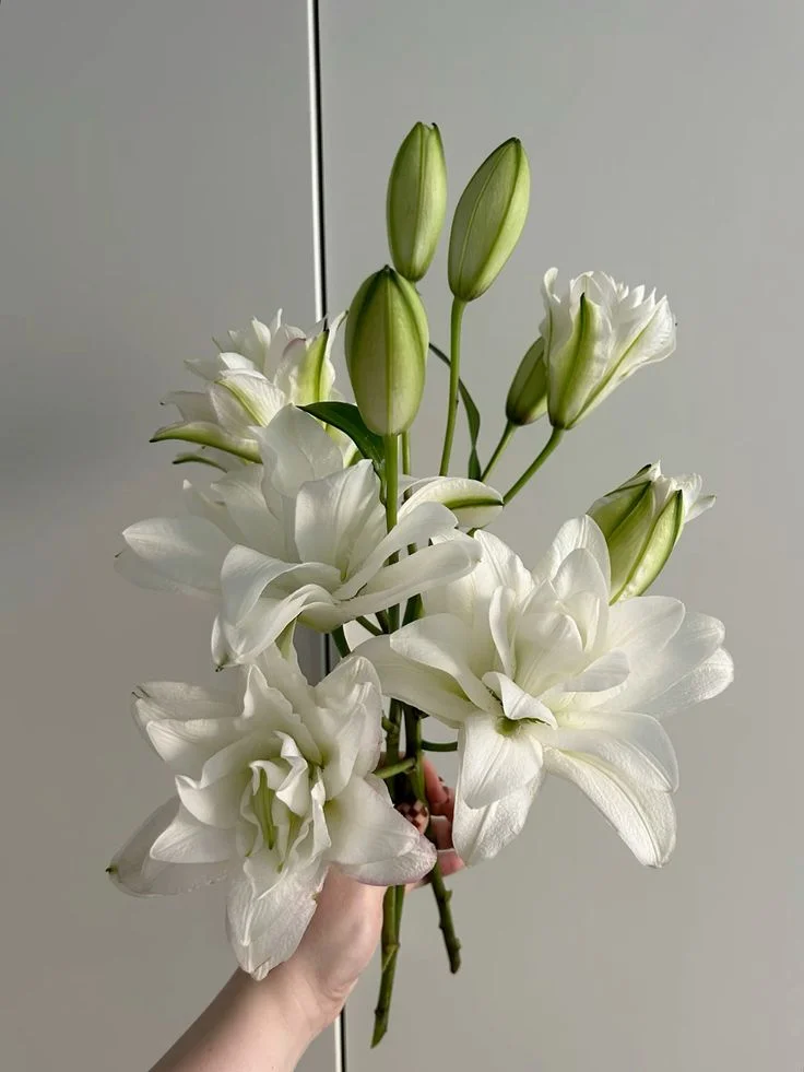 Bouquet de Lys, par Le Dahlia by Estelle, fleuriste à Bordeaux