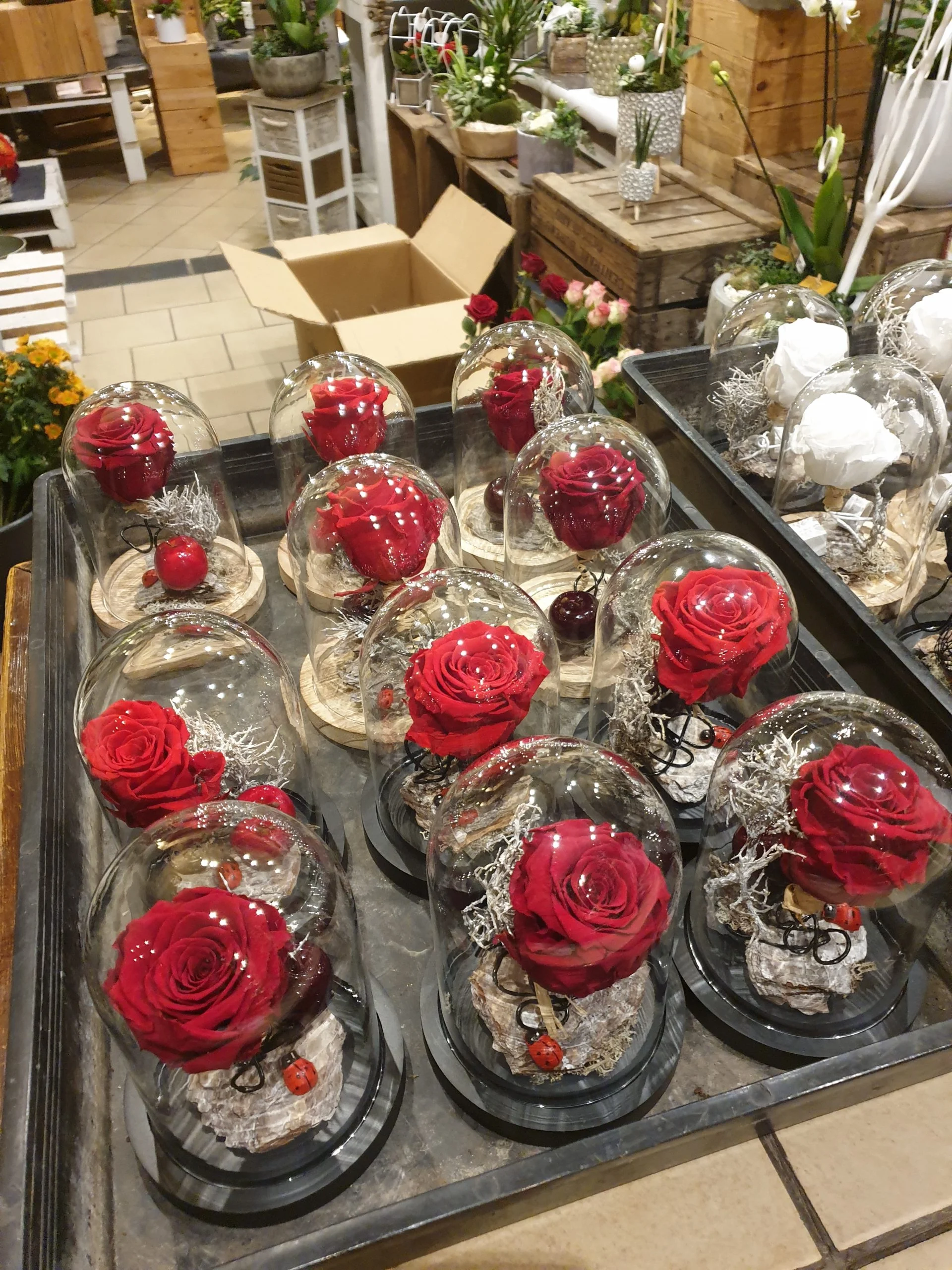 Rose éternelle, par Fleurs Baccara, fleuriste à Dour