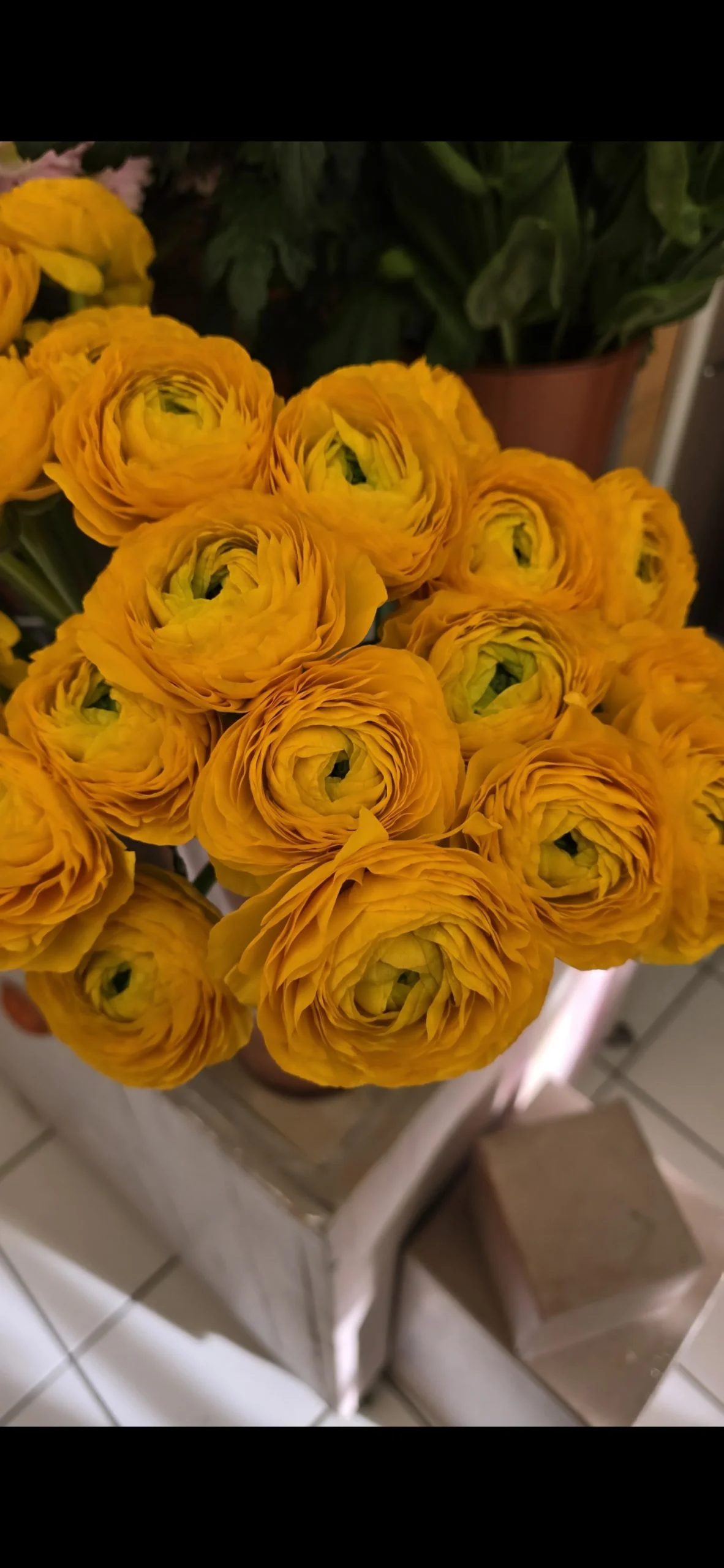 Bouquet de Renoncules, par Perles De Rosée, fleuriste à Champigny-sur-Marne