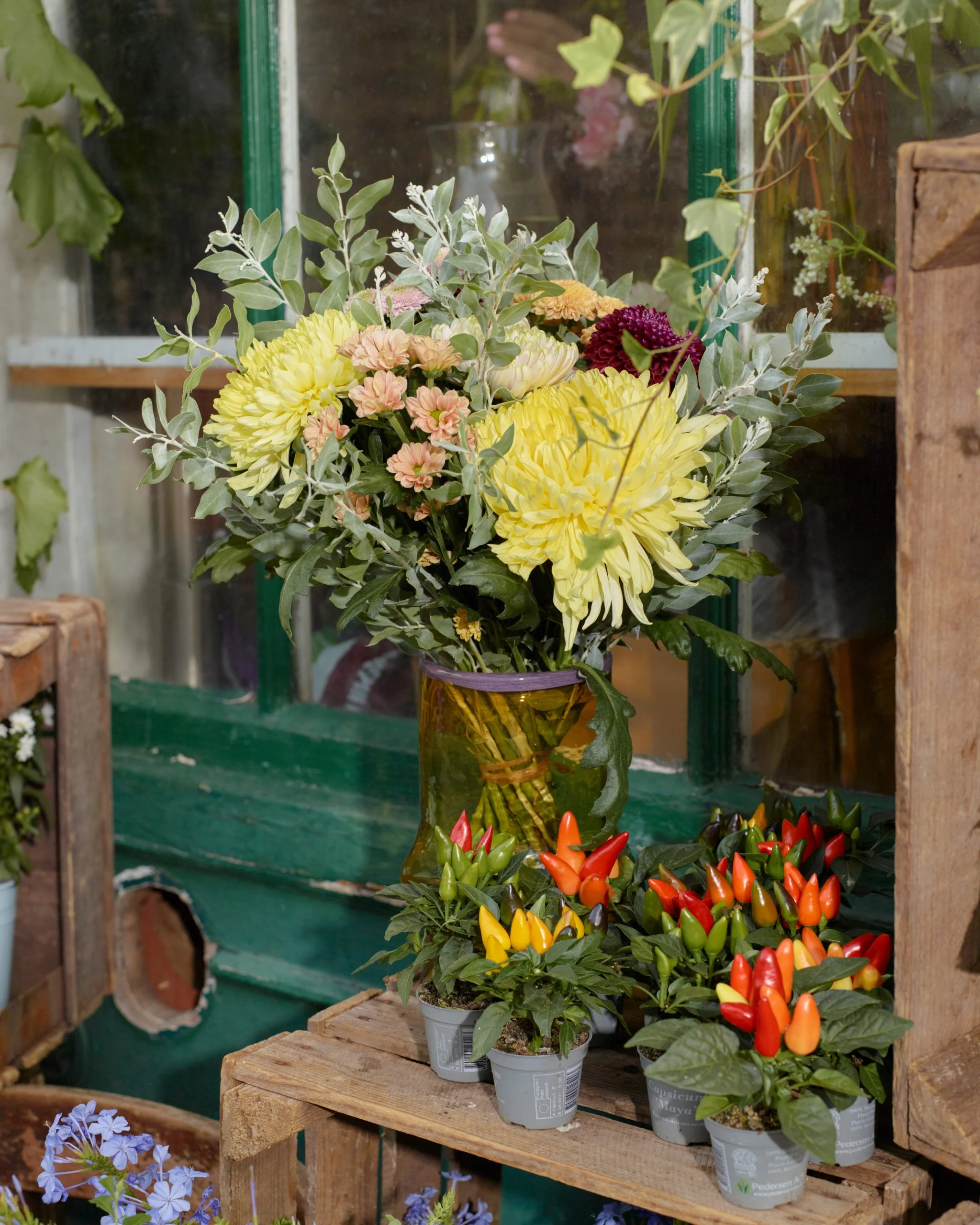 Brassée de Chrysanthèmes, par Fleur O Méditerranée Mallemort, fleuriste à Mallemort