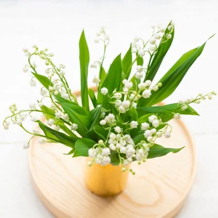 Brins de Muguet, par Votre Studio Floral, fleuriste à Basse-Terre