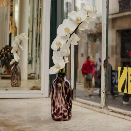 Orchidée, par Votre Studio Floral, fleuriste à Basse-Terre