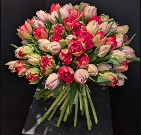 Bouquet de Tulipes, par Primavera, fleuriste à Sains-en-Gohelle