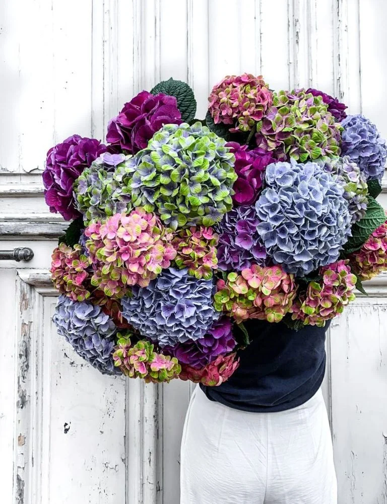 Bouquet d'hortensias, par Atelier Armelle Alleton, fleuriste à Le Mans