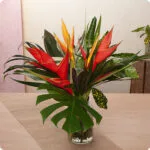 Bouquet de fleurs exotique, von Sita Fleurs, Floristin in Le Tampon