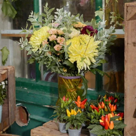 Brassée de Chrysanthèmes, par Votre Studio Floral, fleuriste à Basse-Terre