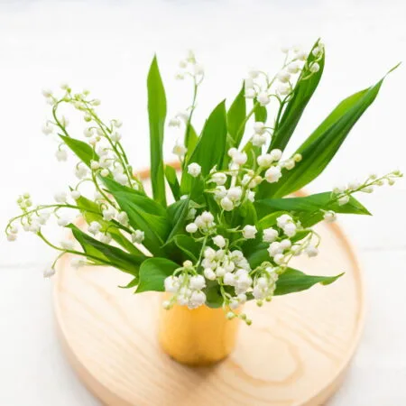 Brins de Muguet, par Votre Studio Floral, fleuriste à Basse-Terre