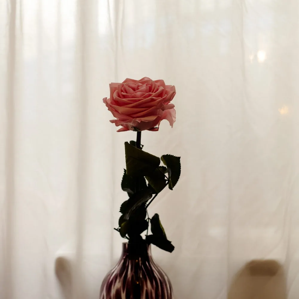 Roses éternelles - Livraison de bouquets de fleurs par vos fleuristes préférés