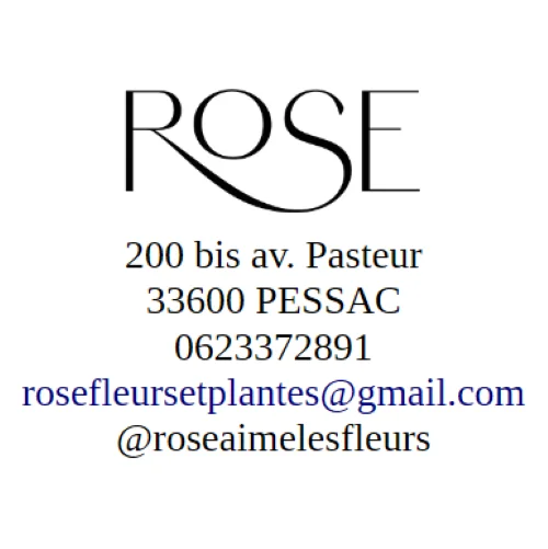 Entrega de flores en Pessac y alrededores, a cargo de Rose, florista artesanal