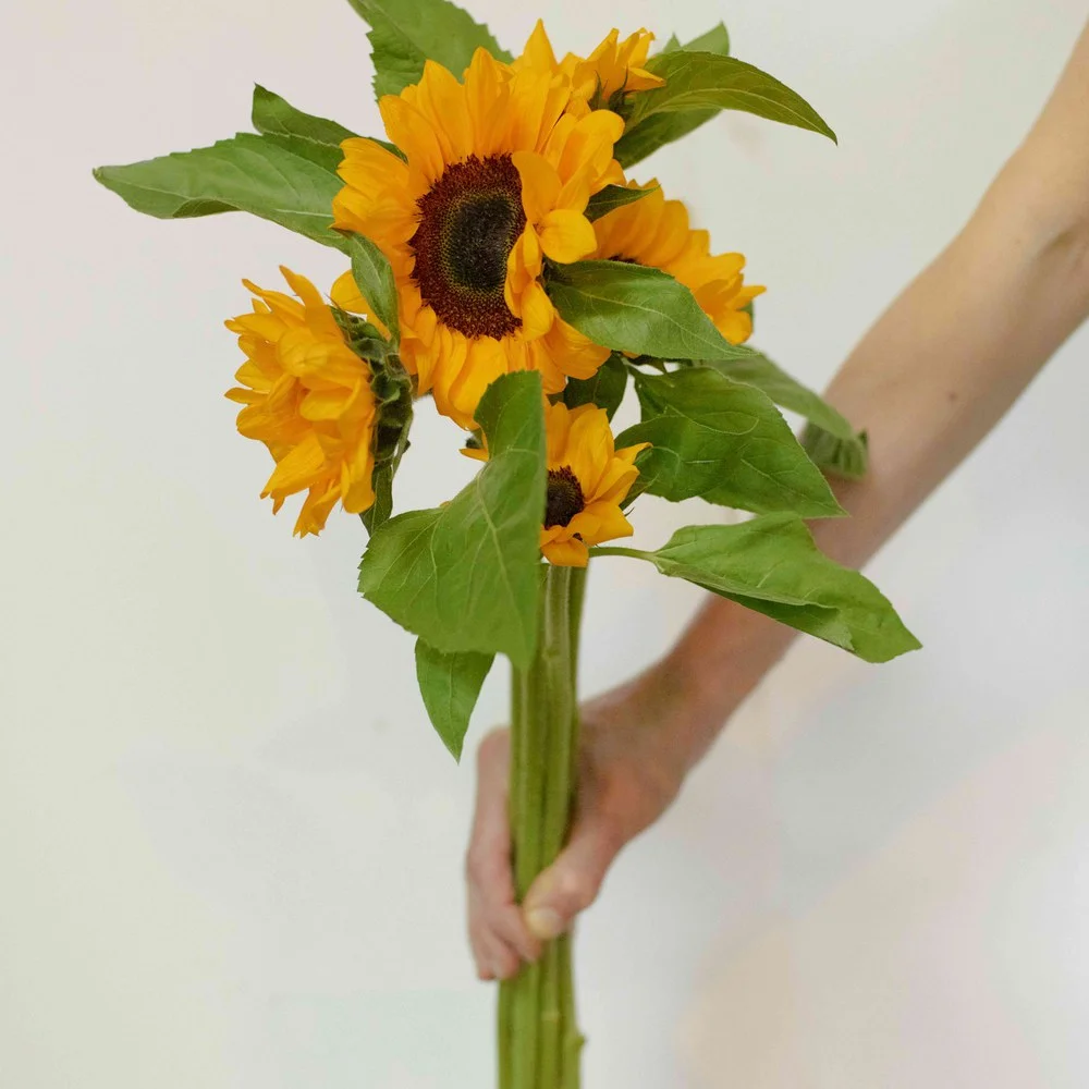 Tournesols - Livraison de bouquets de fleurs par vos fleuristes préférés